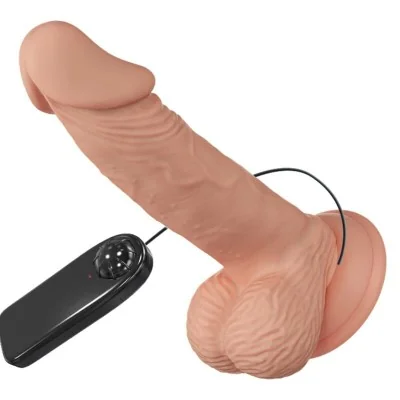BAILE - BEAUTIFUL ENCOUNTER ZEBULON VIBRATION 19.4 CM NATURAL BAILE - BEAUTIFUL ENCOUNTER ZEBULON VIBRATION 19.4 CM NATURAL