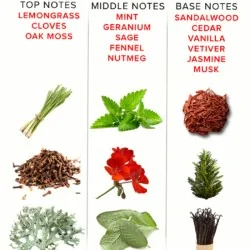 EYE OF LOVE - EOL PHEROMONE PARFUM 10 ML - ROMANTIC EYE OF LOVE - EOL PHEROMONE PARFUM 10 ML - ROMANTIC