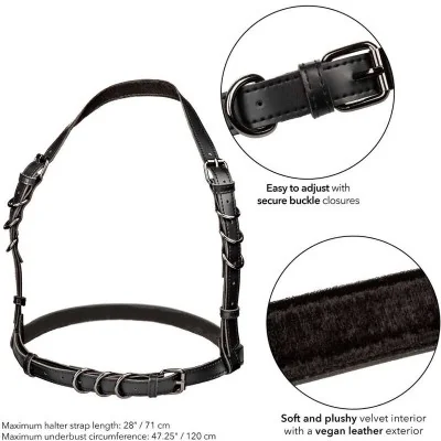 CALEXOTICS - EUPHORIA PLUS SIZE HALTER BUCKLE HARNESS BLACK CALEXOTICS - EUPHORIA PLUS SIZE HALTER BUCKLE HARNESS BLACK