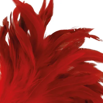DARKNESS - RED STIMULATING PEN 24CM DARKNESS - RED STIMULATING PEN 24CM